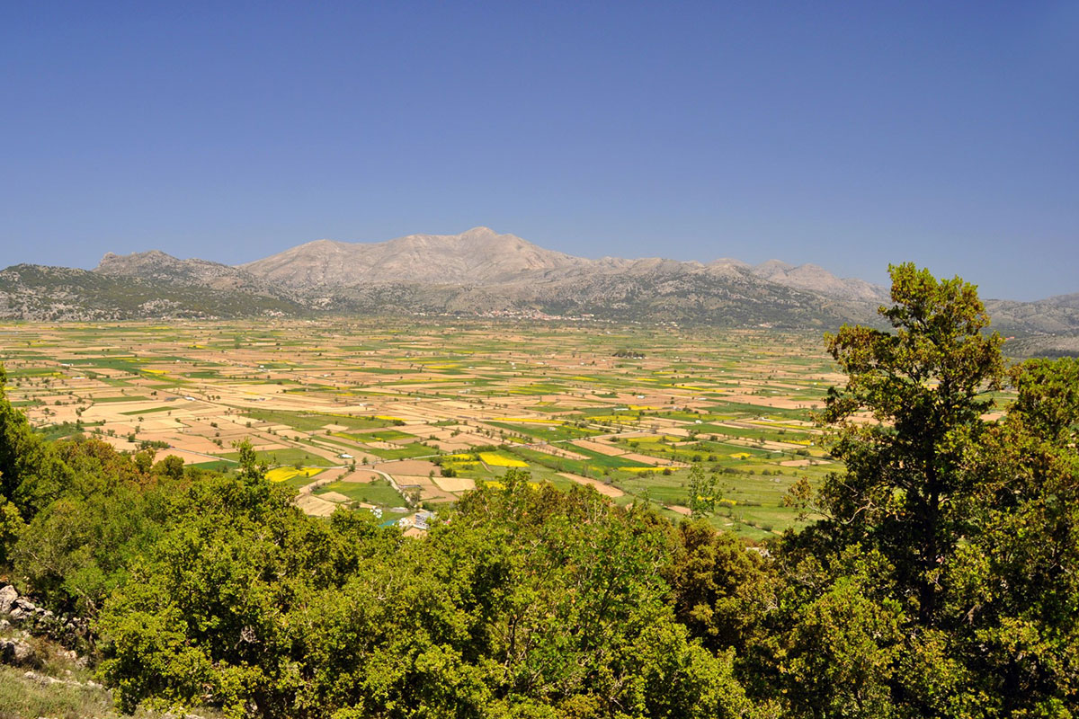 Lassithi Plateau